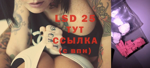 амф Новозыбков