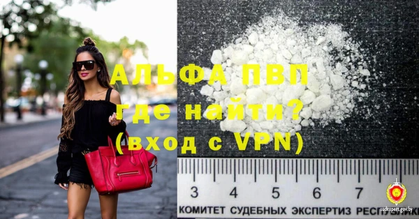 амф Новозыбков