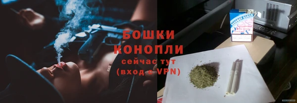 амф Новодвинск