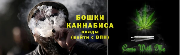 амф Новодвинск