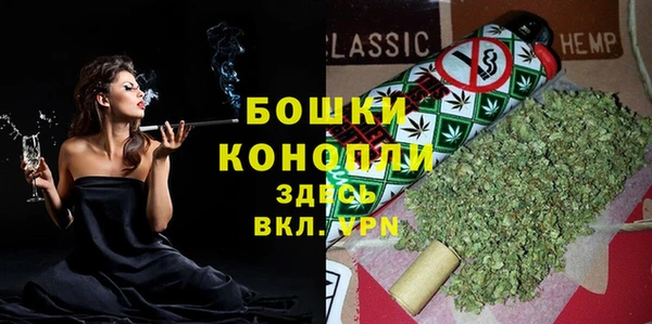амф Новозыбков