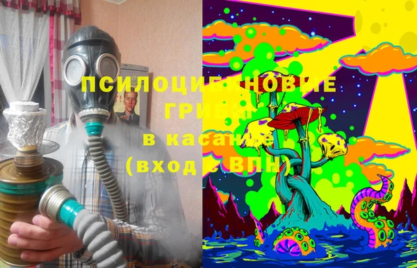 сатива Нязепетровск
