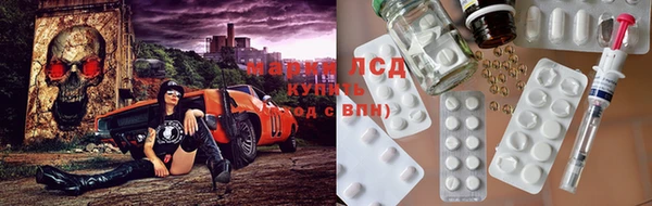 амф Новозыбков