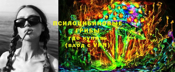 мдпв Няндома