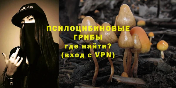 сатива Нязепетровск
