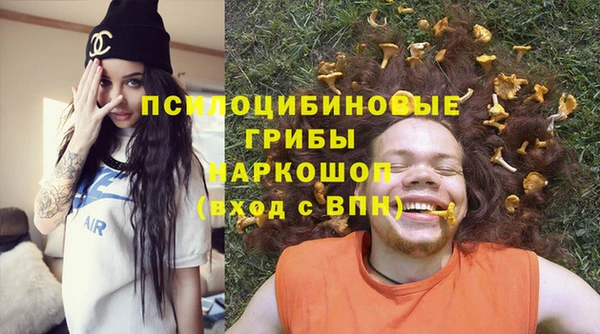 мдпв Няндома
