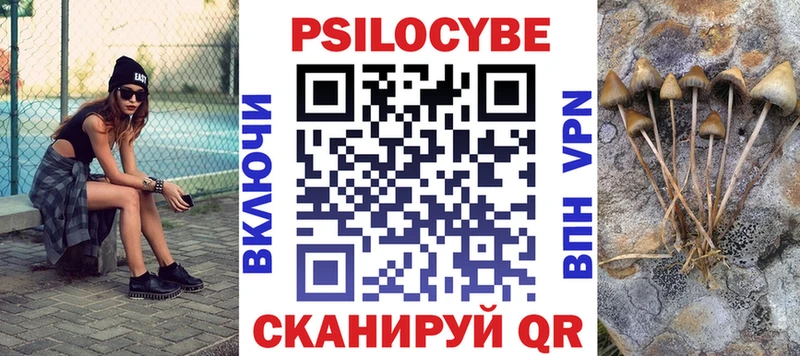 что такое наркотик  Лермонтов  Псилоцибиновые грибы мицелий 